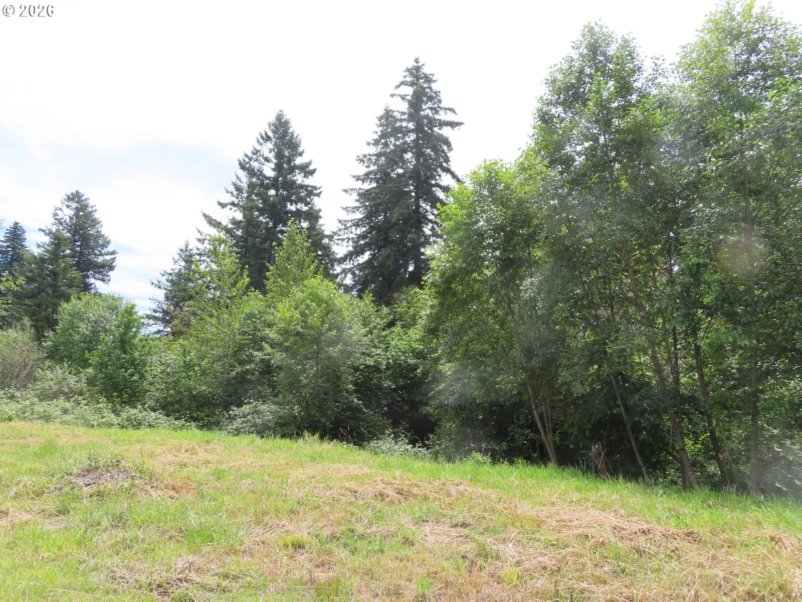 Coleman Road Mossyrock, WA 98564 - Photo 9 of 22
