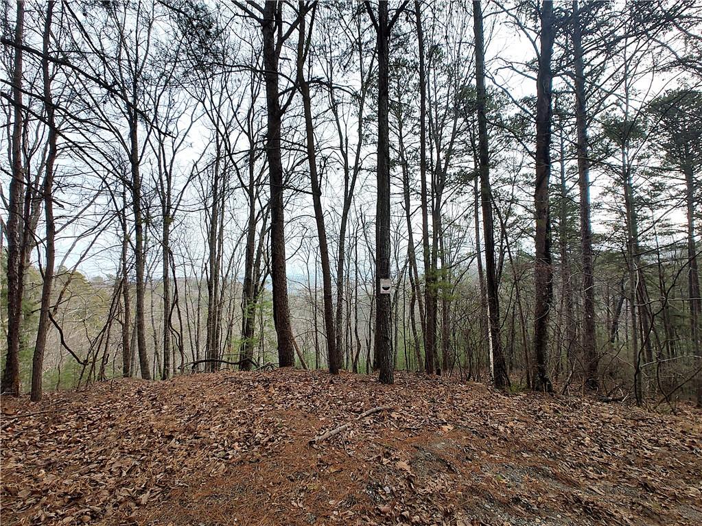 1036 Astro Court Northeast Ranger, GA 30734 - Photo 5 of 12