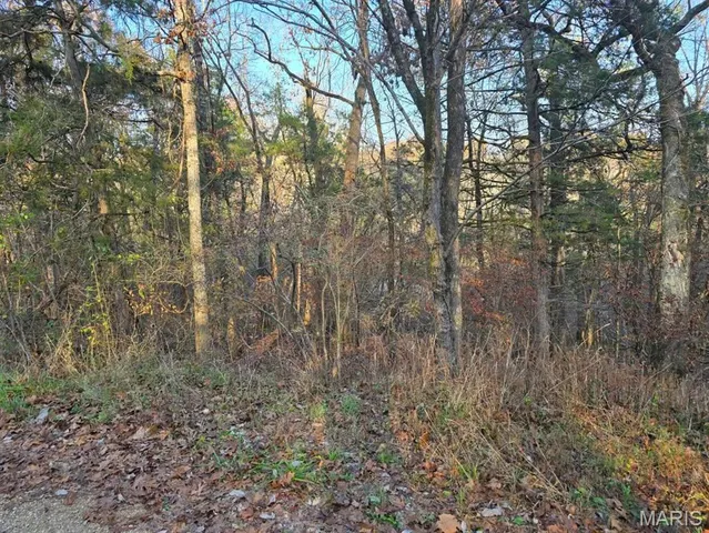 $6,500 | 1 Fox Lane, Rockaway Beach, MO 65740