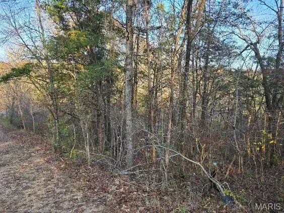 $6,500 | 1 Fox Lane, Rockaway Beach, MO 65740