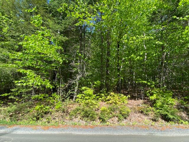 43 Perkins Road Embden, ME 04958 - Photo 2 of 2 IMG_2229