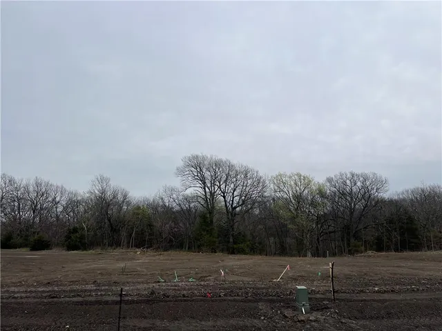 $55,000 | 2 Block Rockers Drive, Baldwin City, KS 66006