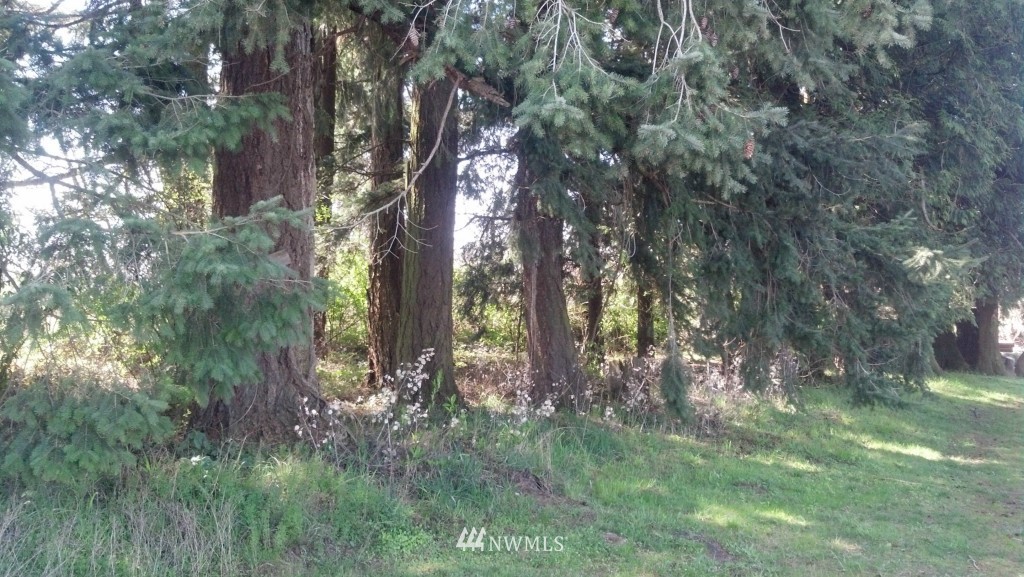 6729 Noon Road Everson, WA 98247 - Photo 6 of 8