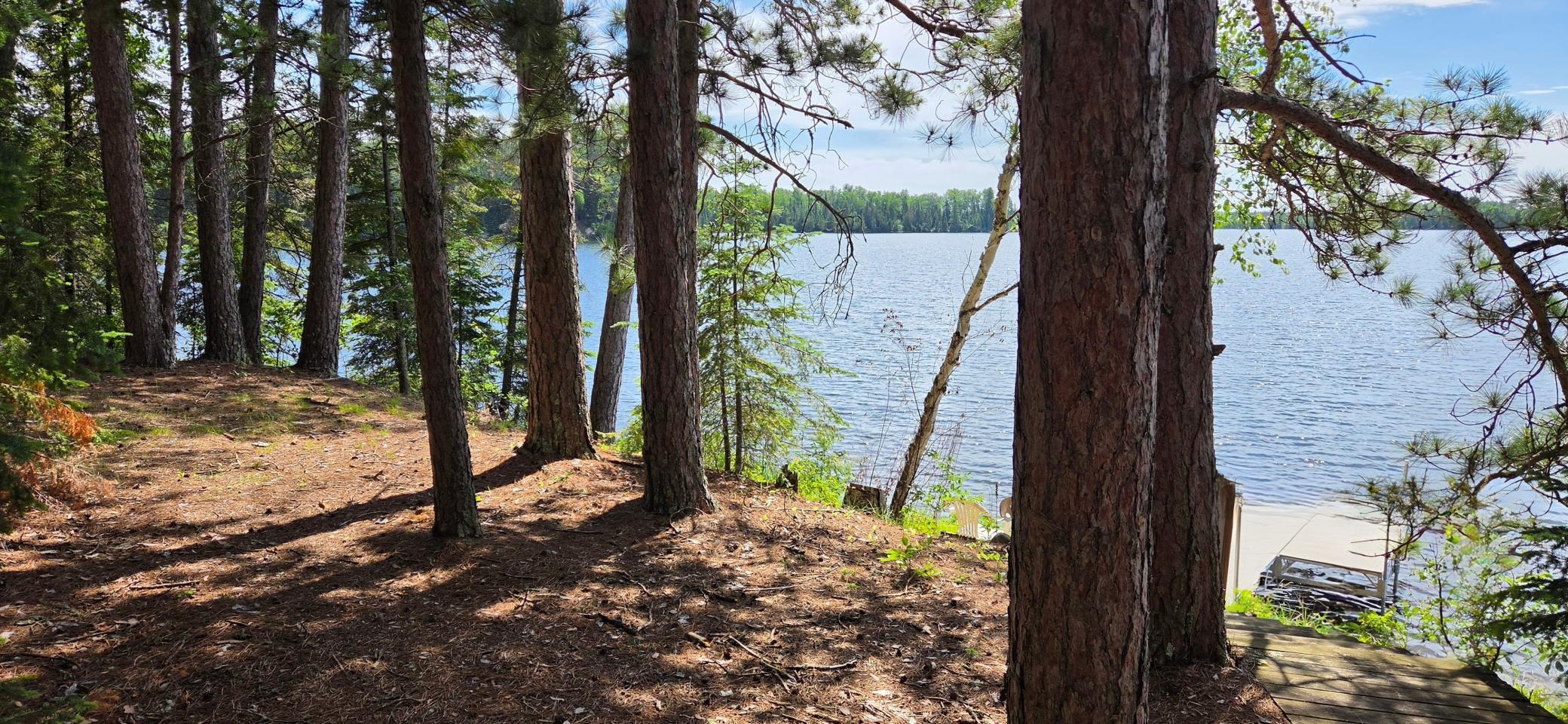 51946 North Wasson Lake Road Bigfork, MN 56628 - Photo 8 of 52