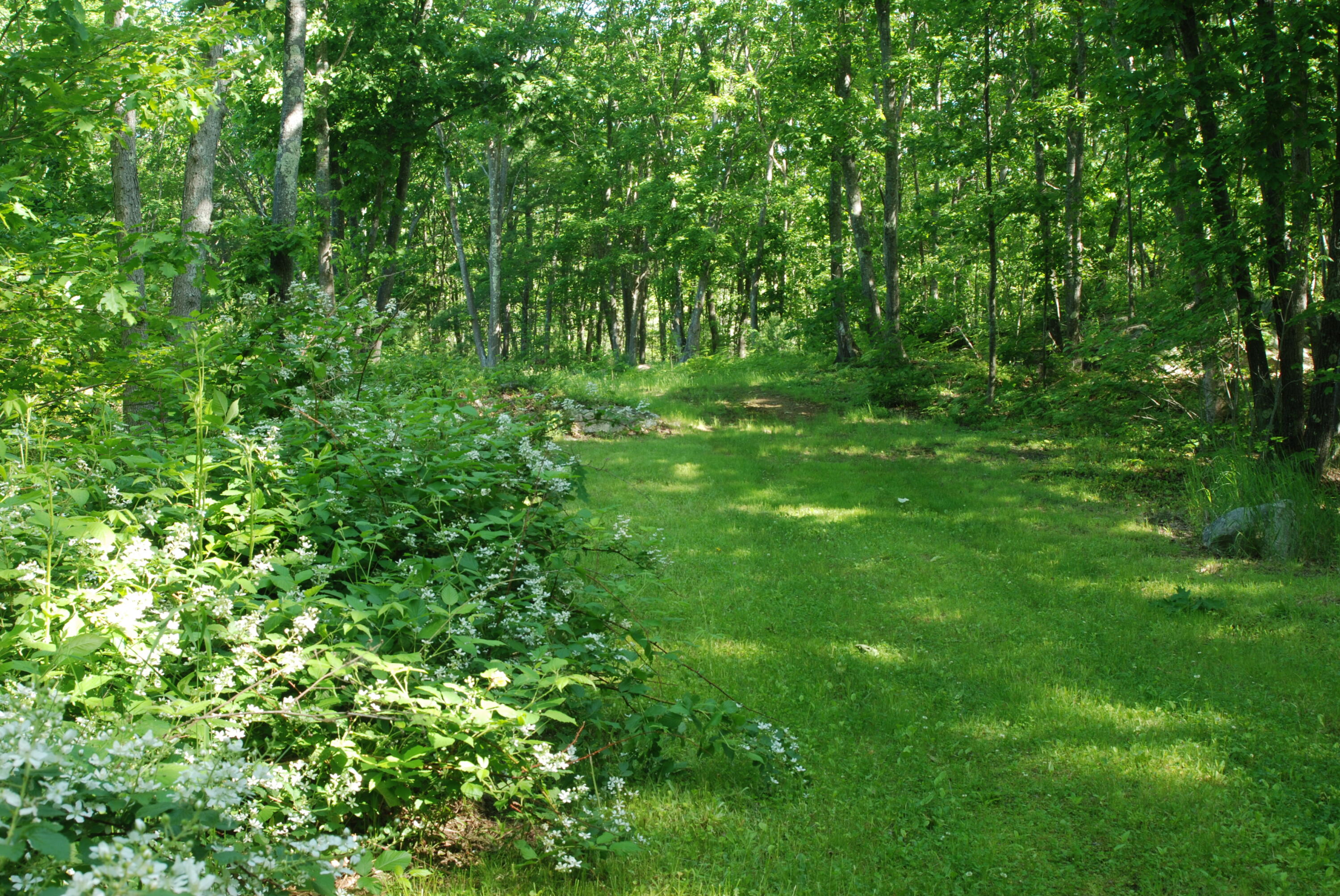 0 Newtown Road Biddeford, ME 04005 - Photo 3 of 6 0 Newtown Road 4
