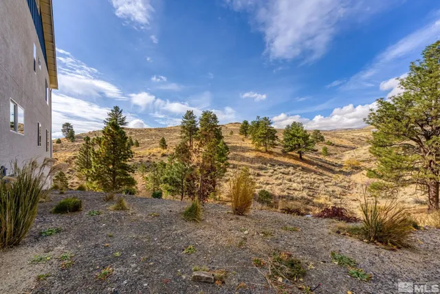 a view of a yard with lots of trees