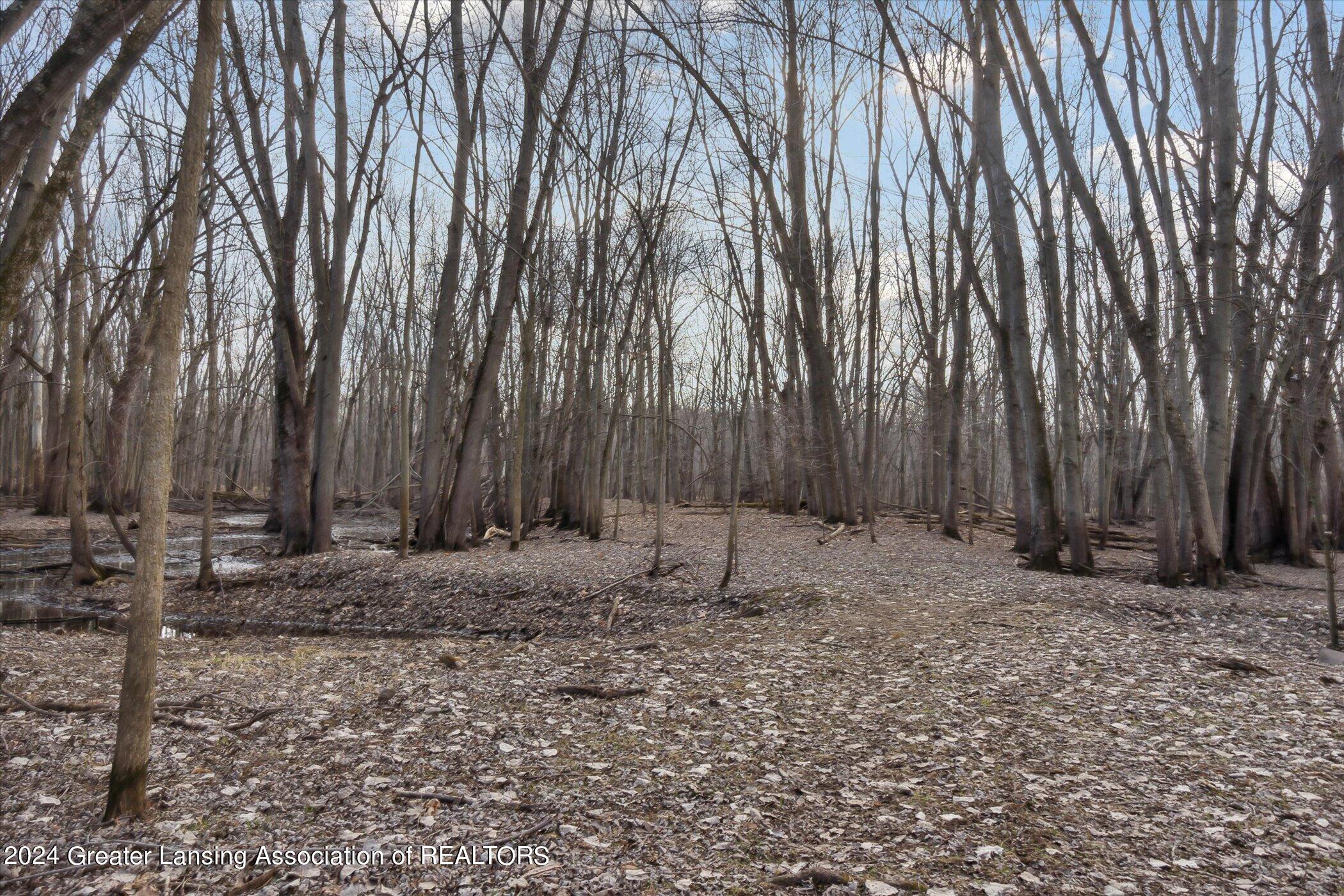 440 South Waverly Road Eaton Rapids, MI 48827 - Photo 50 of 64 50-440-S-Waverly-Rd-Eaton-Rapids-MI-4882