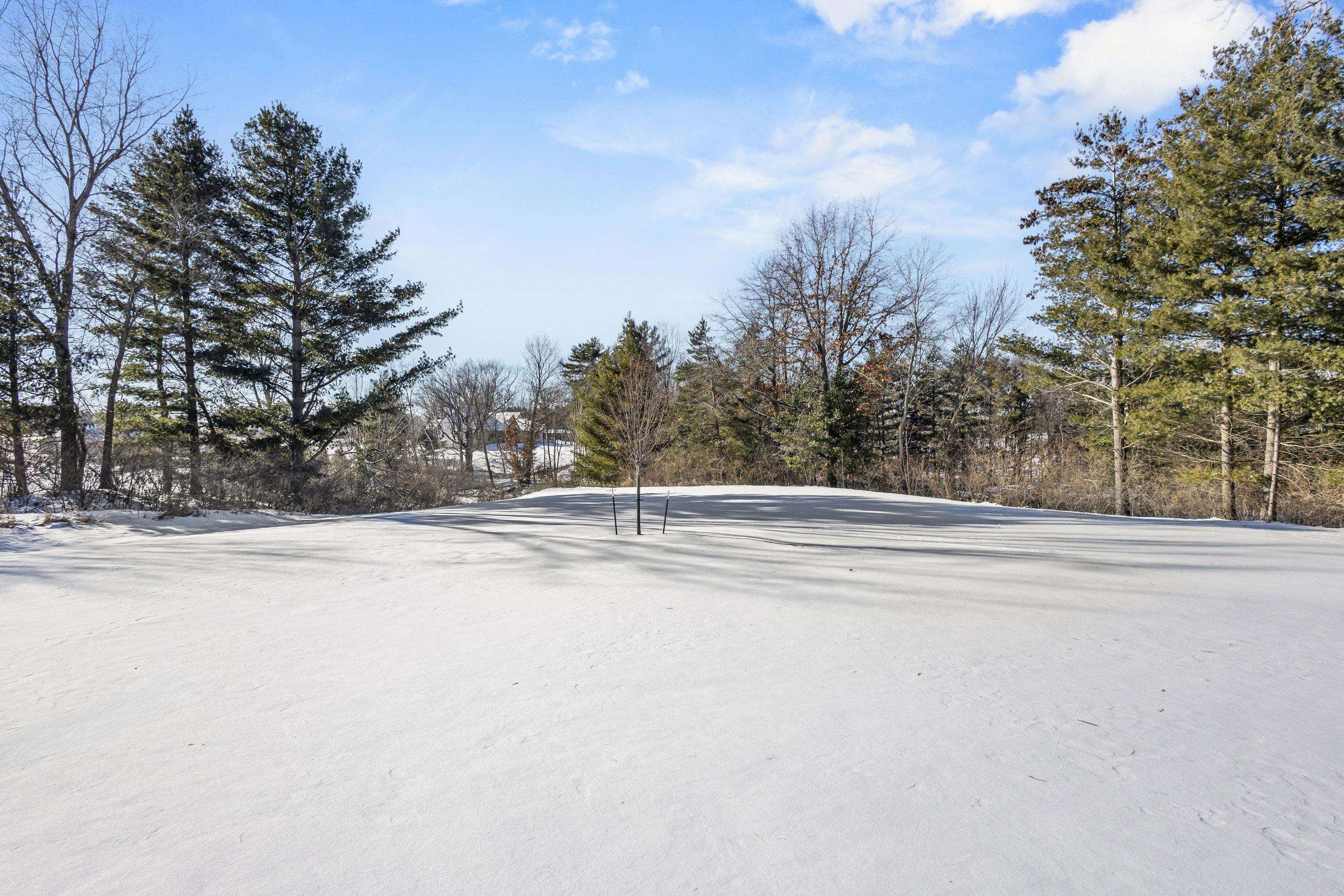 4141 Blackberry Ridge Court Hobart, WI 54155 - Photo 88 of 90