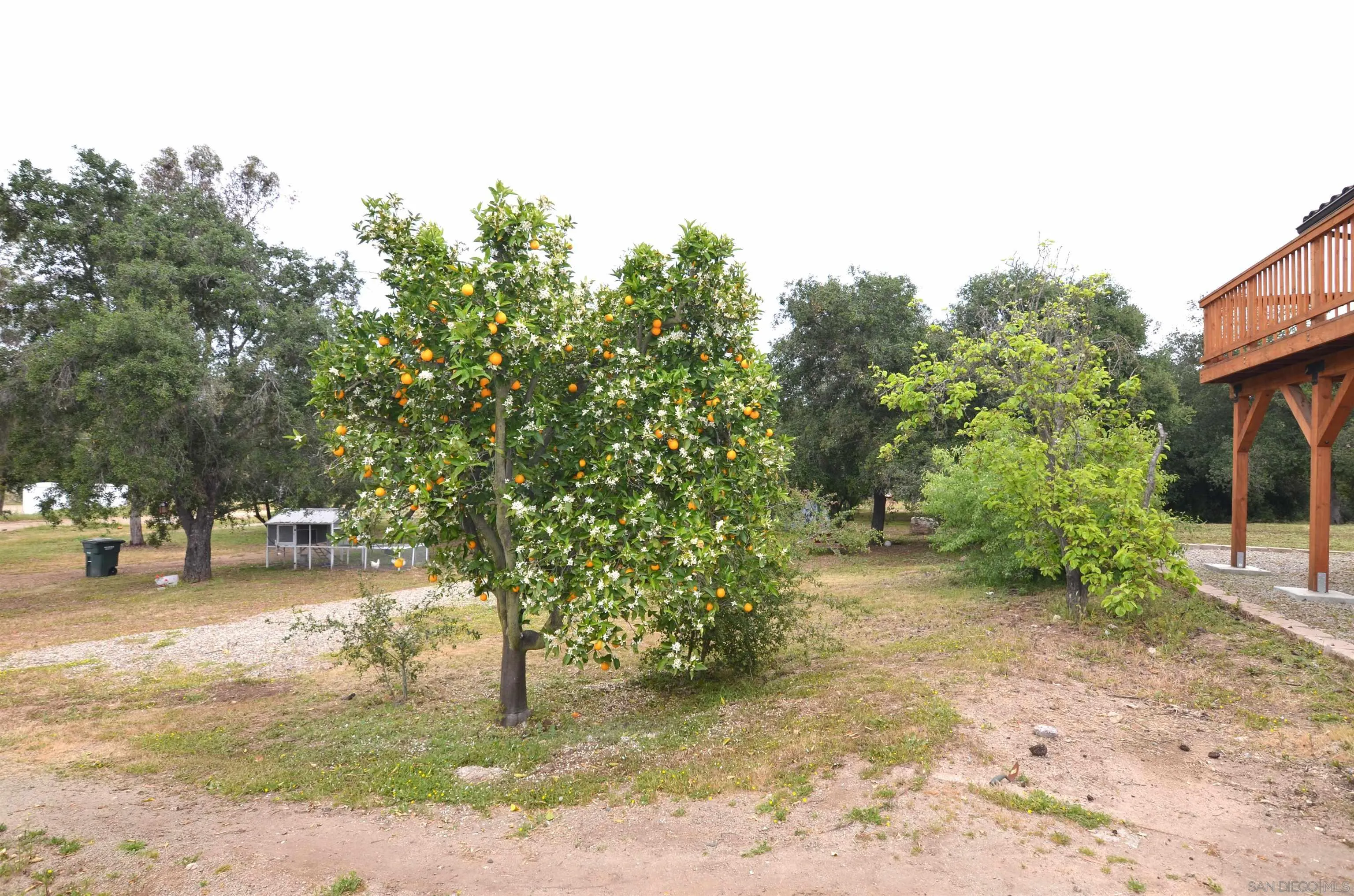 30643 Rabbit Run Valley Center, CA 92082 - Photo 55 of 59 a view of yard