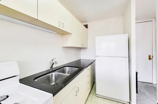 $195,000 | 444 West Fullerton Parkway, Unit 305, Chicago, IL 60614