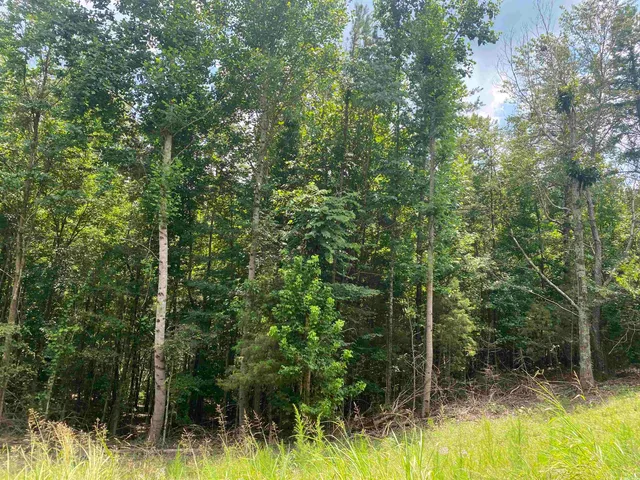 a view of swimming pool with a yard and large trees
