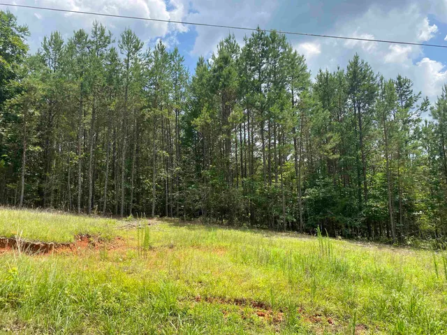 $69,900 | 6 Alexander Drive, Savannah, TN 38372