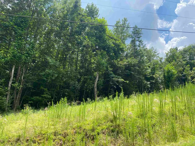 a view of swimming pool from a yard
