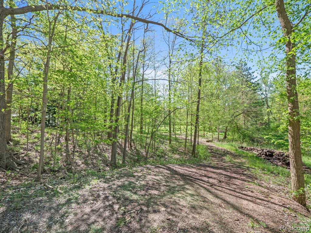971 Dutton Road Rochester Hills, MI 48306 - Photo 10 of 51