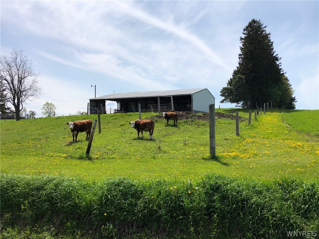 2312 Smith Road Perry, NY 14530 - Photo 3 of 22