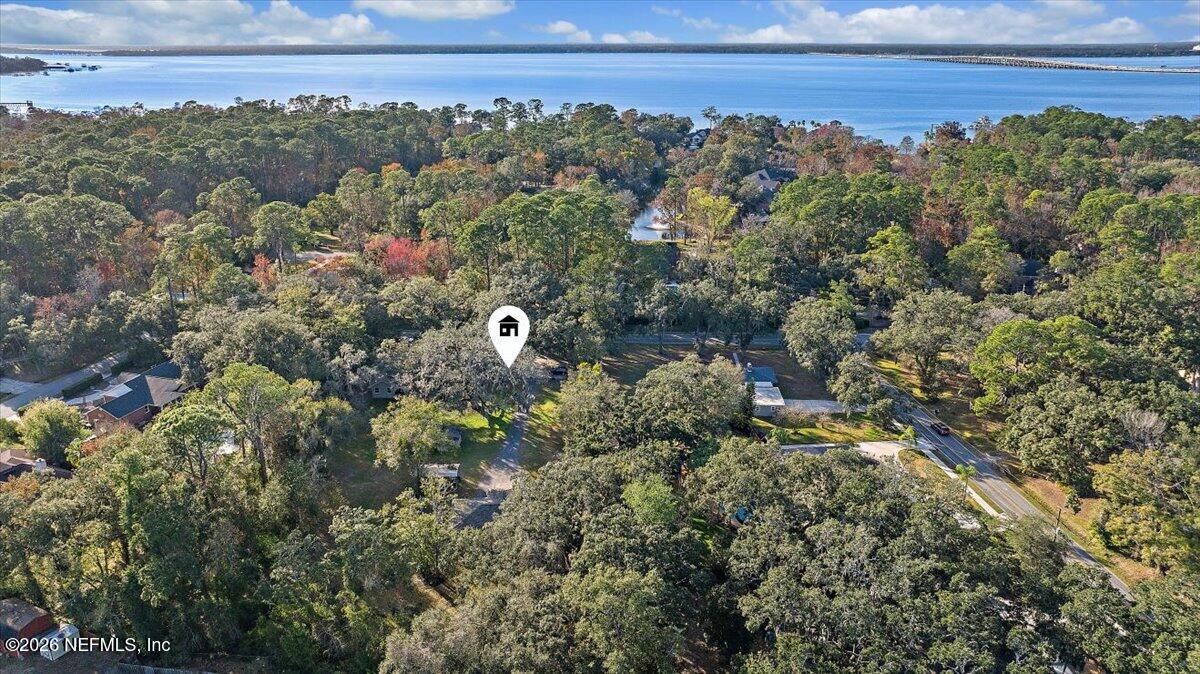 11037 Scott Mill Road Jacksonville, FL 32223 - Photo 46 of 51 45-View to St John's River