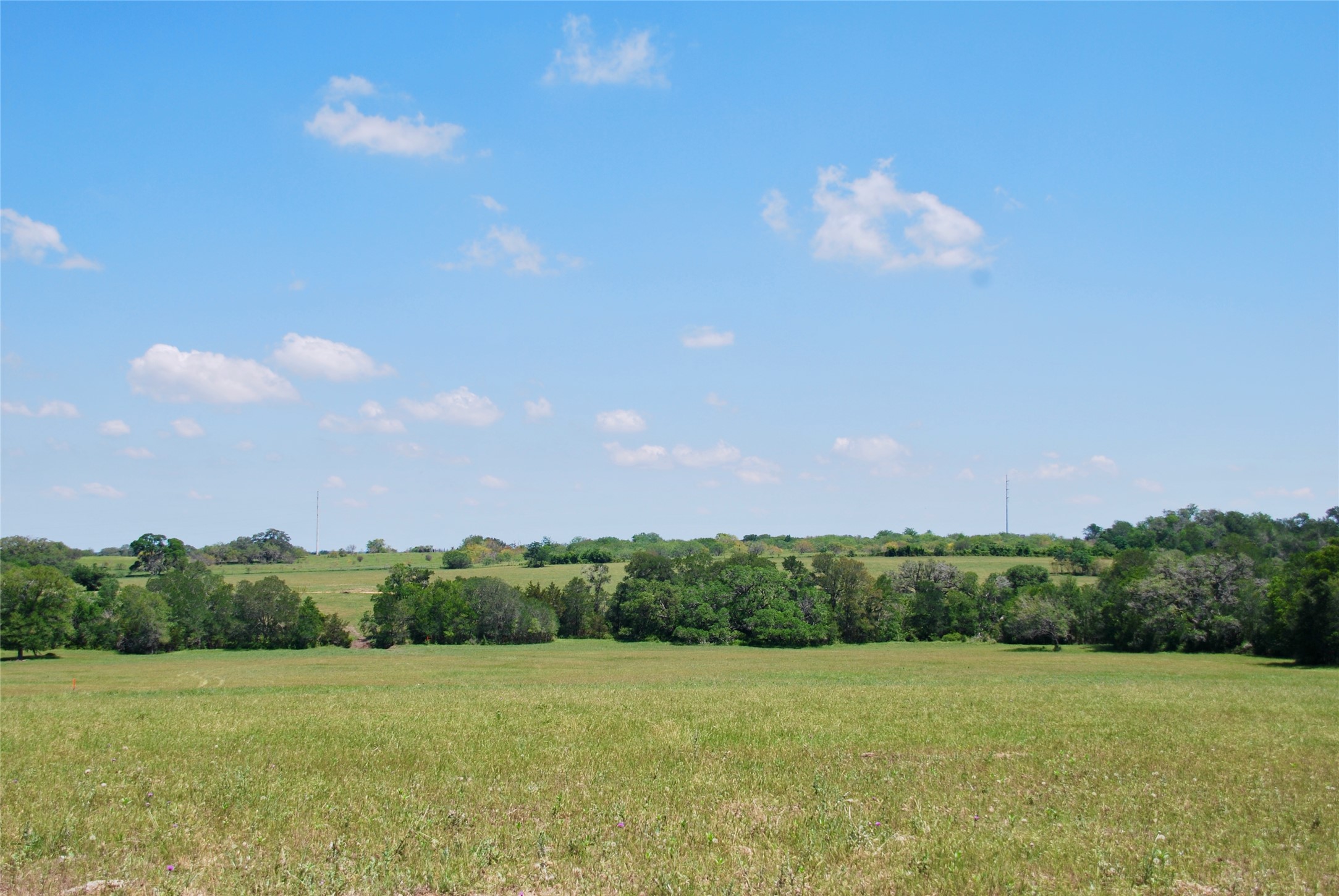 1070 Muehr Road Weimar, TX 78962 - Photo 15 of 40
