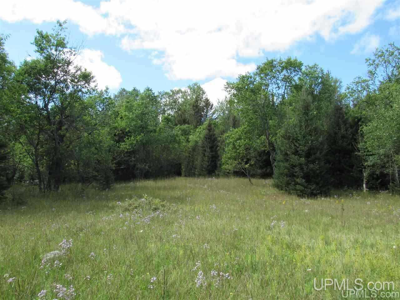 Tbd Tbd Off Stagecoach Road Michigamme, MI 49861 - Photo 32 of 37