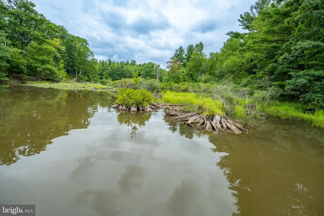a view of swimming pool with a yard