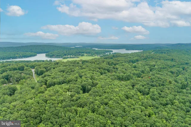 a view of a green field