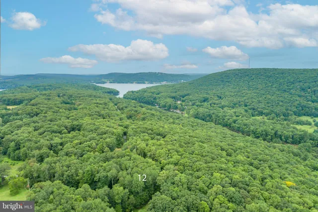 a view of outdoor space and a yard