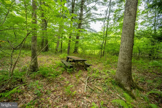 a picture of street view