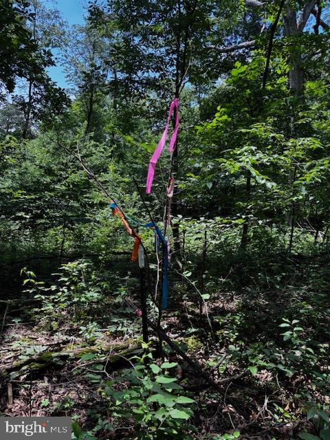 Alonzaville Road Maurertown, VA 22644 - Photo 14 of 28 a backyard of a house with lots of green space