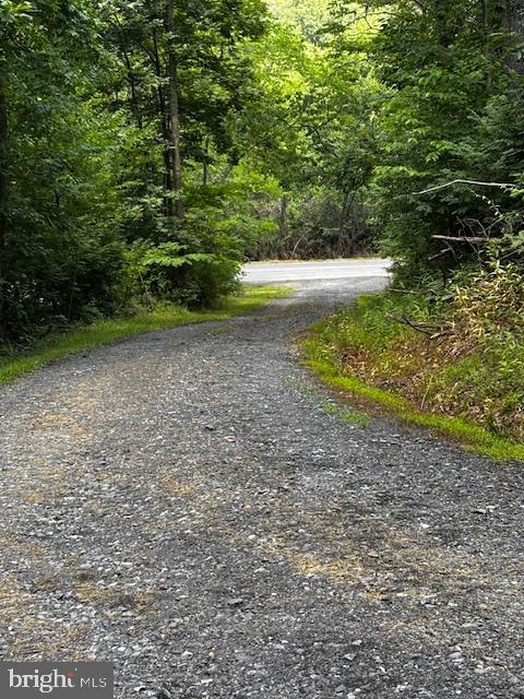Alonzaville Road Maurertown, VA 22644 - Photo 15 of 28 a view of a dry yard