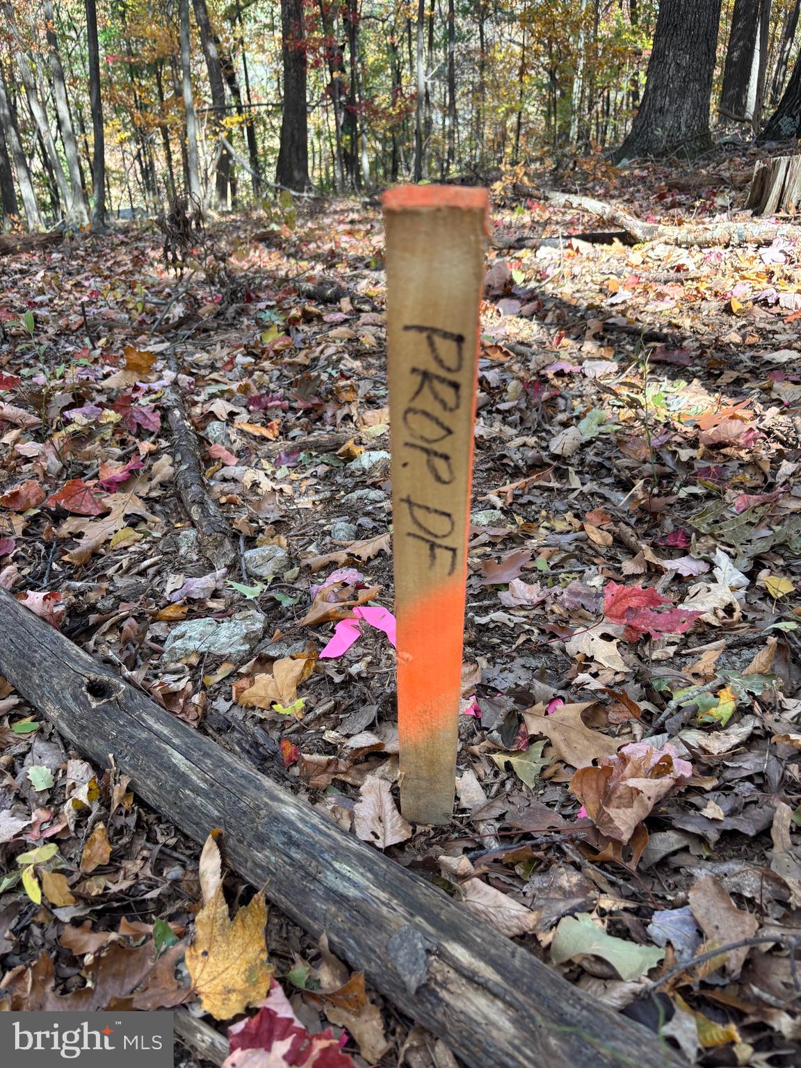 Alonzaville Road Maurertown, VA 22644 - Photo 20 of 28