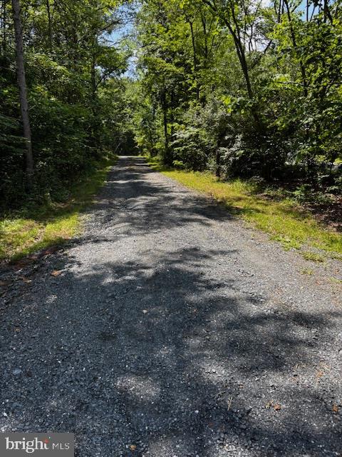 Alonzaville Road Maurertown, VA 22644 - Photo 2 of 28 a view of yard with green space