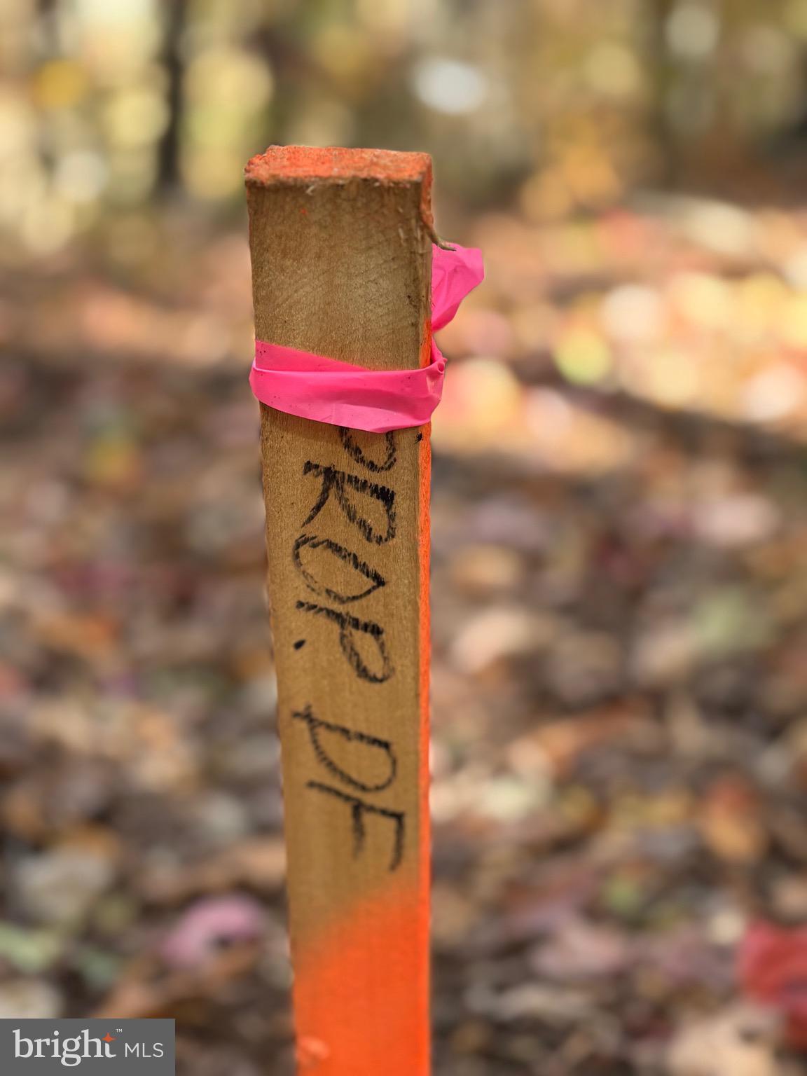 Alonzaville Road Maurertown, VA 22644 - Photo 21 of 28 a view of street