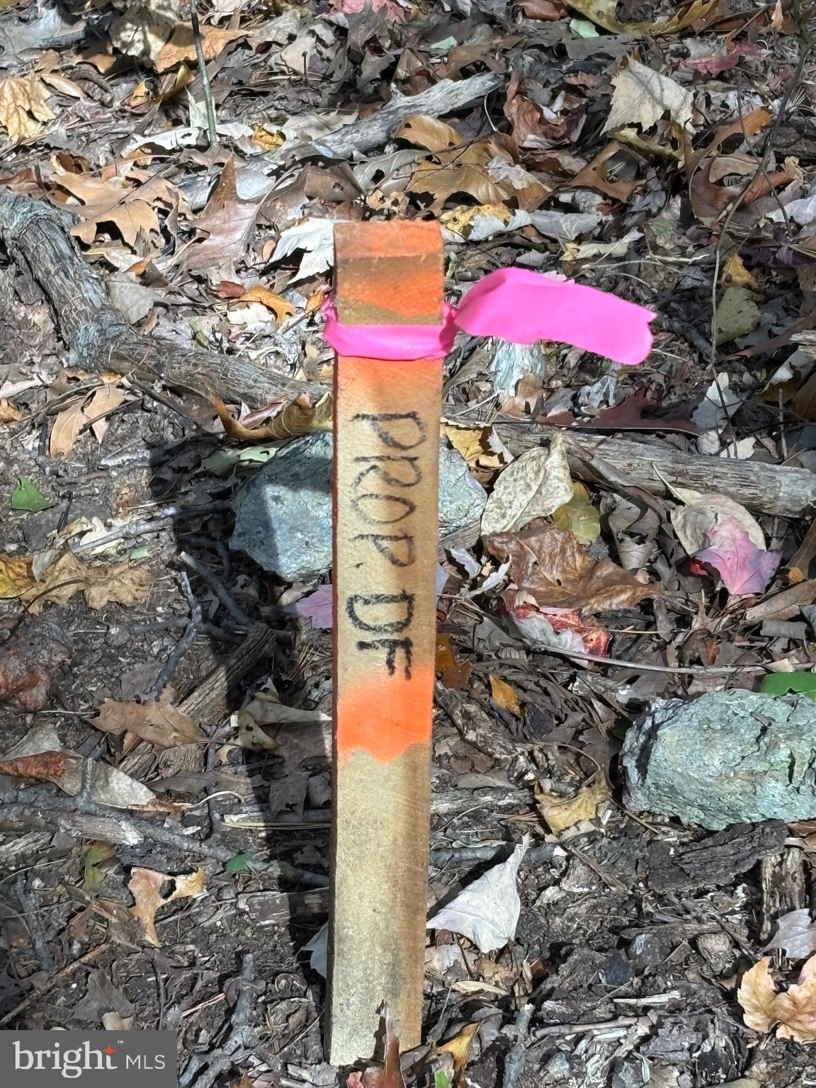 Alonzaville Road Maurertown, VA 22644 - Photo 22 of 28