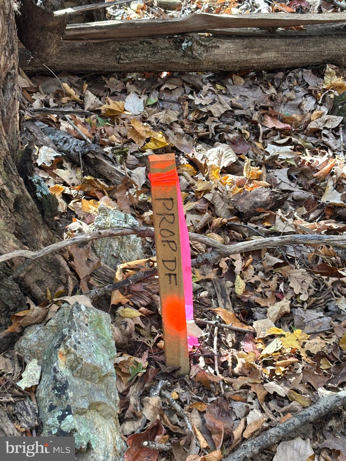 Alonzaville Road Maurertown, VA 22644 - Photo 23 of 28