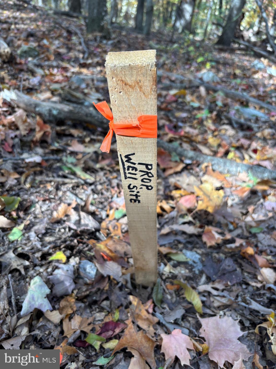 Alonzaville Road Maurertown, VA 22644 - Photo 24 of 28