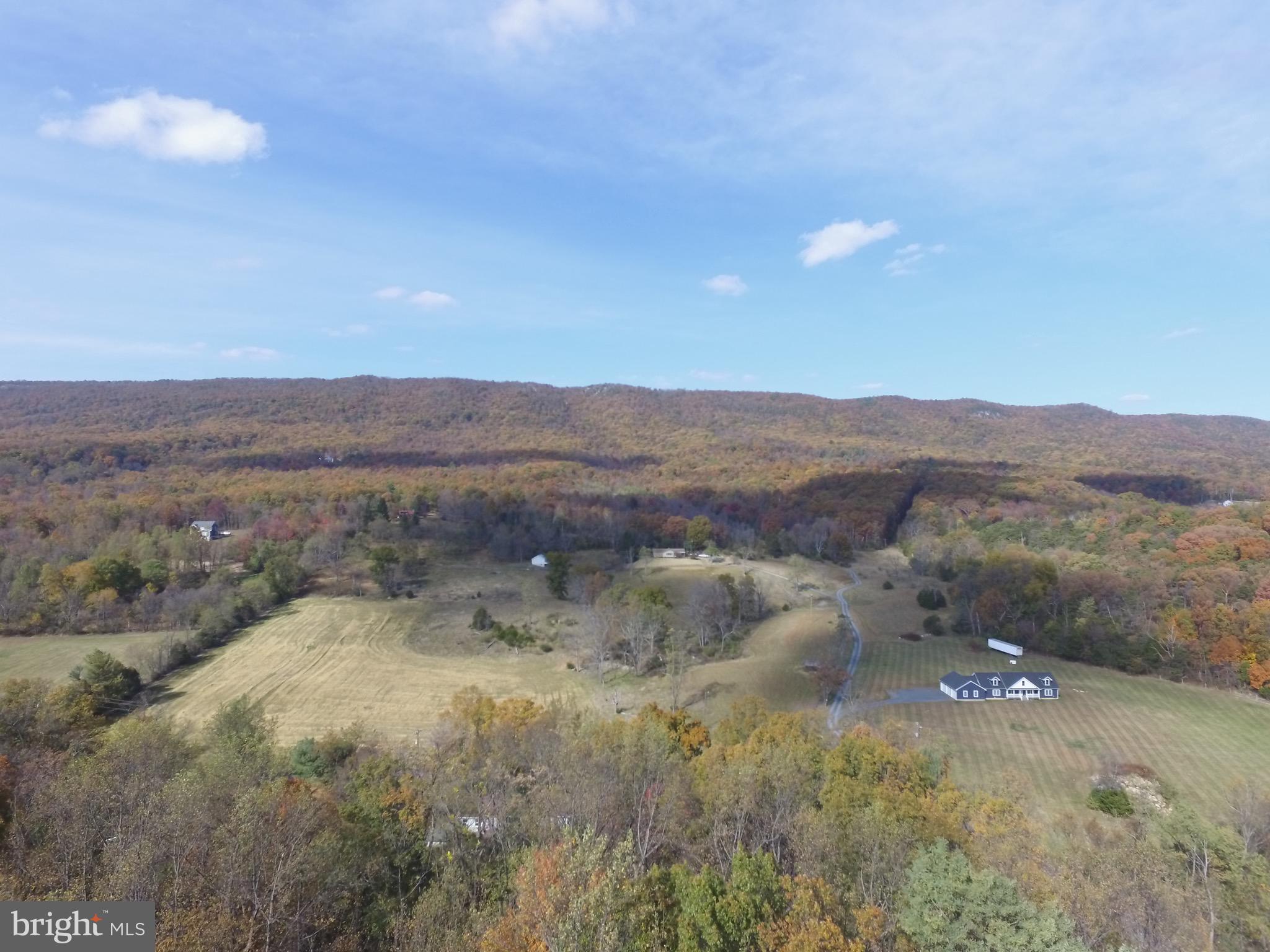Alonzaville Road Maurertown, VA 22644 - Photo 27 of 28 a view of a mountain in the distance tree