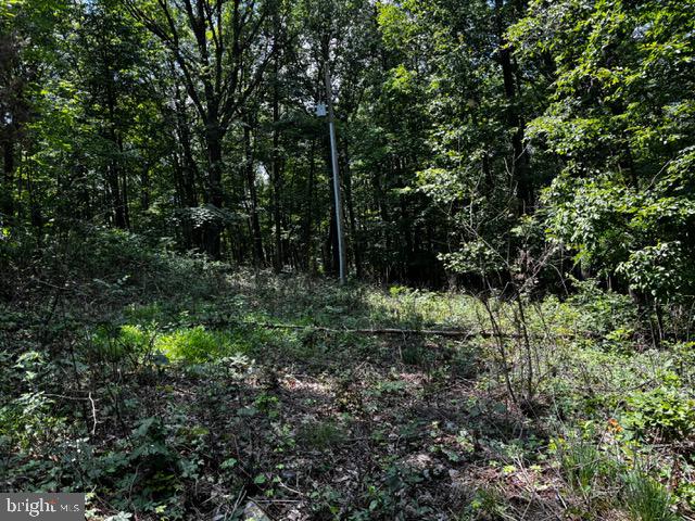 Alonzaville Road Maurertown, VA 22644 - Photo 3 of 28 a view of outdoor space and yard