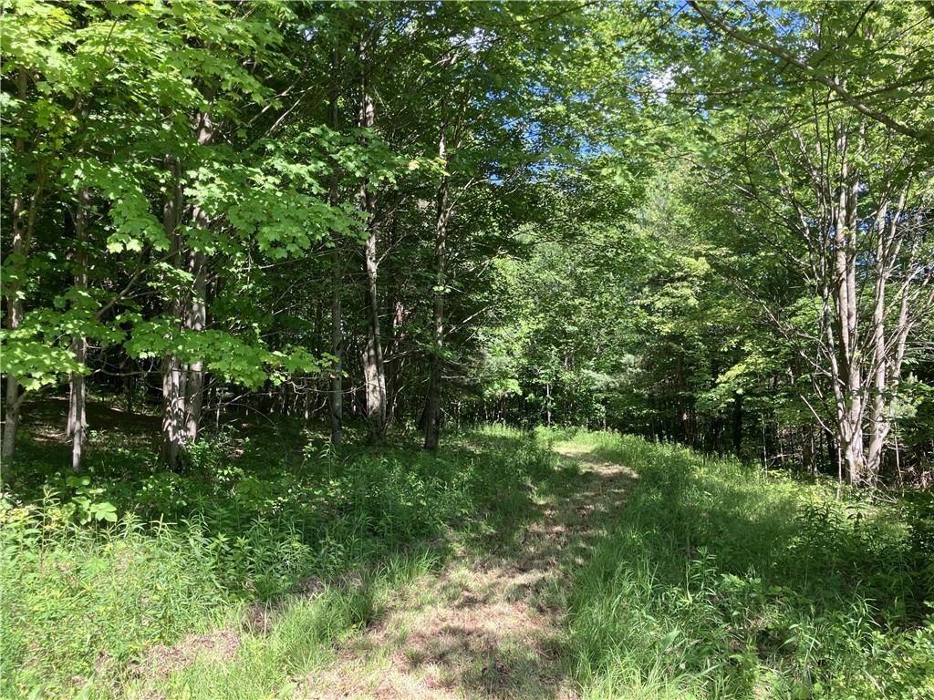 427 Rorick Hollow Road Erin, NY 14861 - Photo 42 of 47