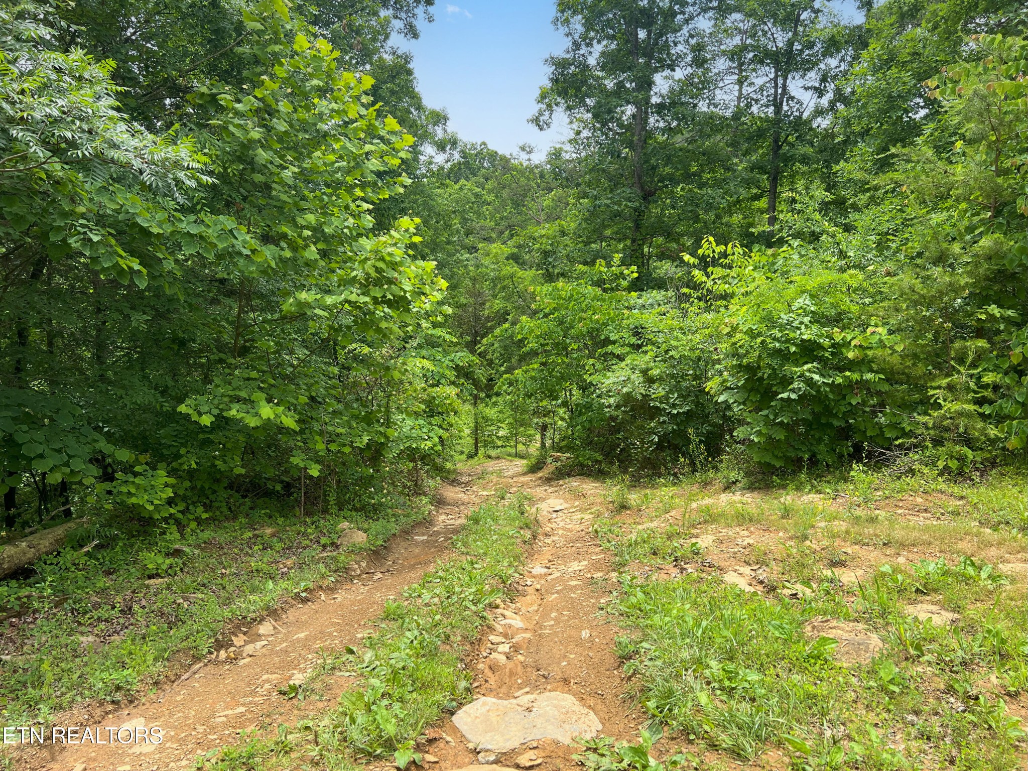 185 Green Road Bulls Gap, TN 37711 - Photo 2 of 16 Gallery Image 2