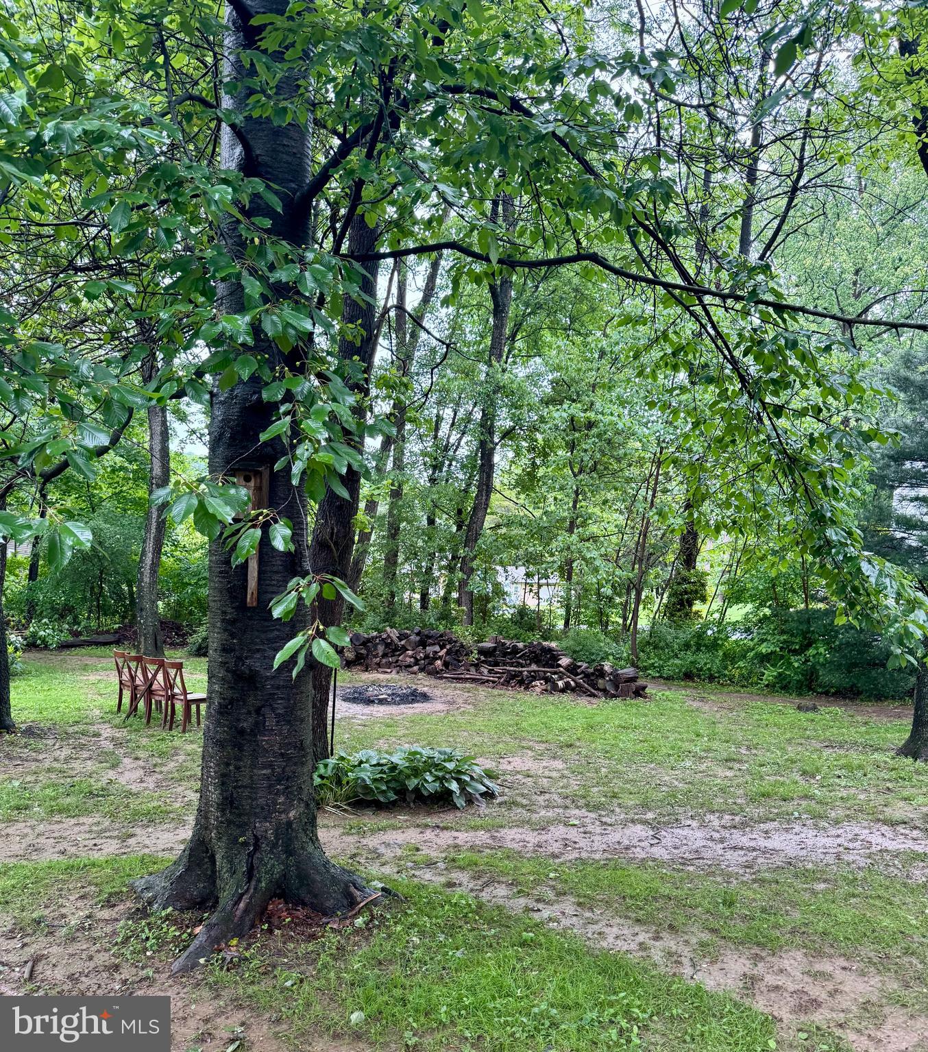 321 West 28th Division Highway Lititz, PA 17543 - Photo 6 of 15 a view of a yard with a tree