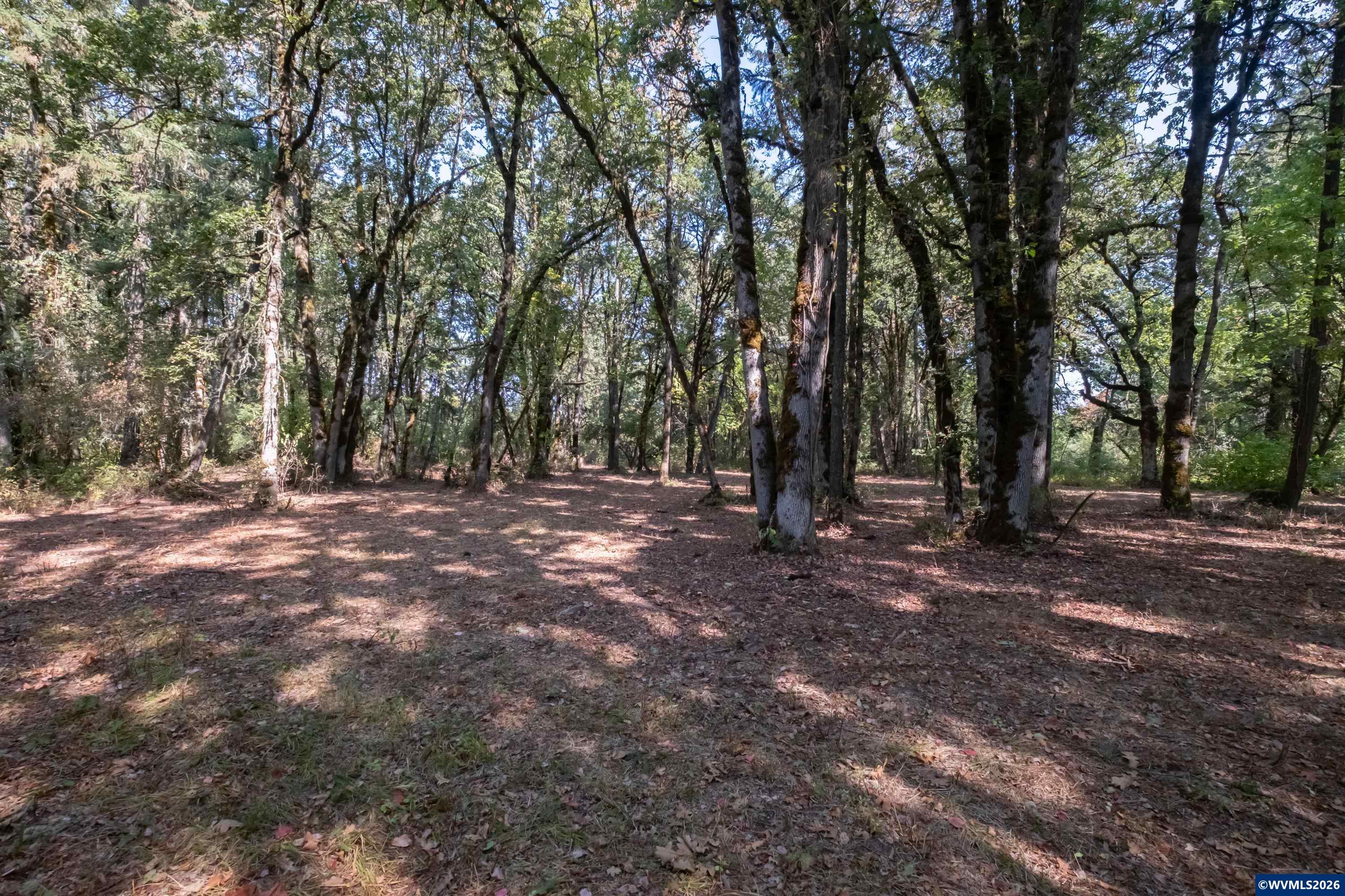 Pp2020-49 Lot#2 North Pp2020-49 Road Albany, OR 97321 - Photo 20 of 36
