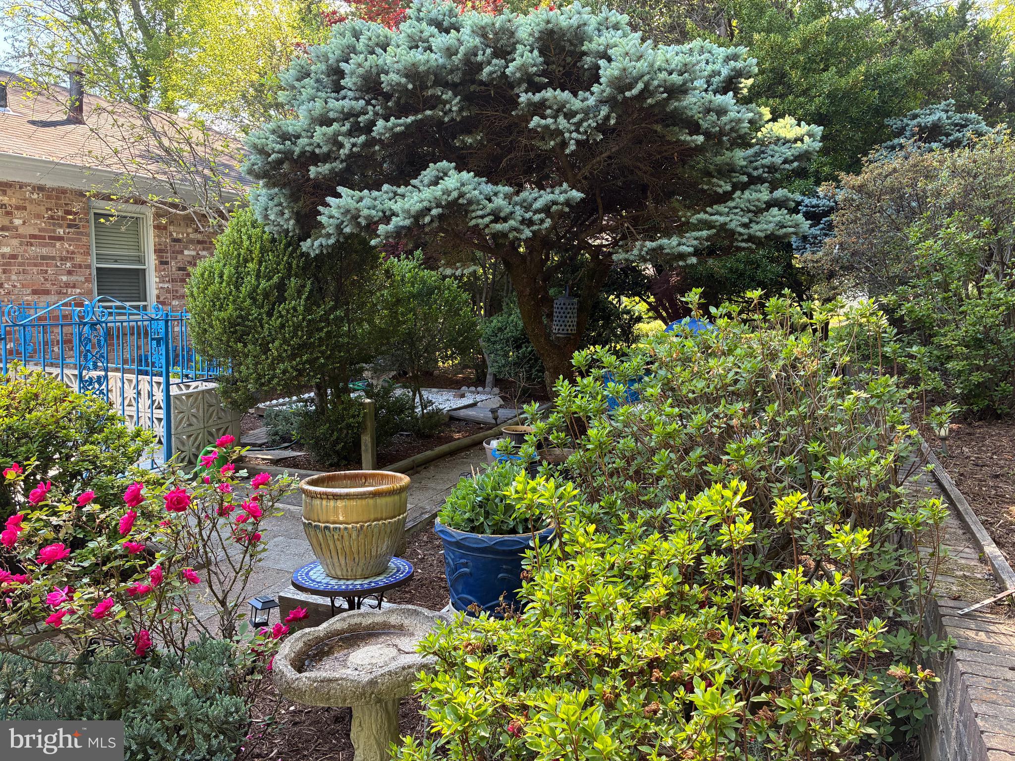 6144 Chesterbrook Road McLean, VA 22101 - Photo 33 of 53 a view of a backyard with sitting area and garden