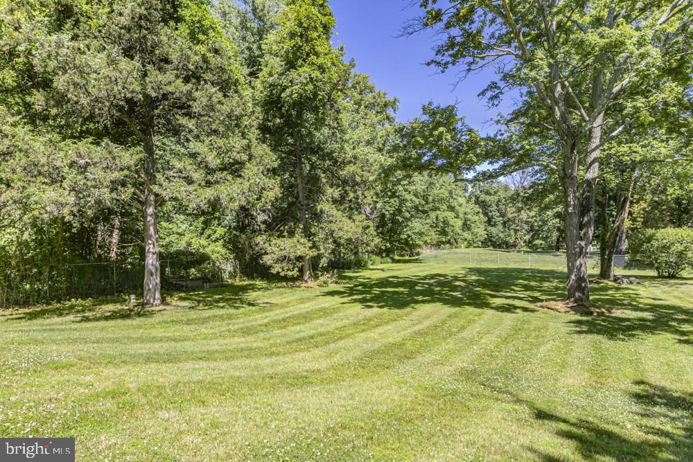 203 Carter Road Princeton, NJ 08540 - Photo 3 of 31 Backyard