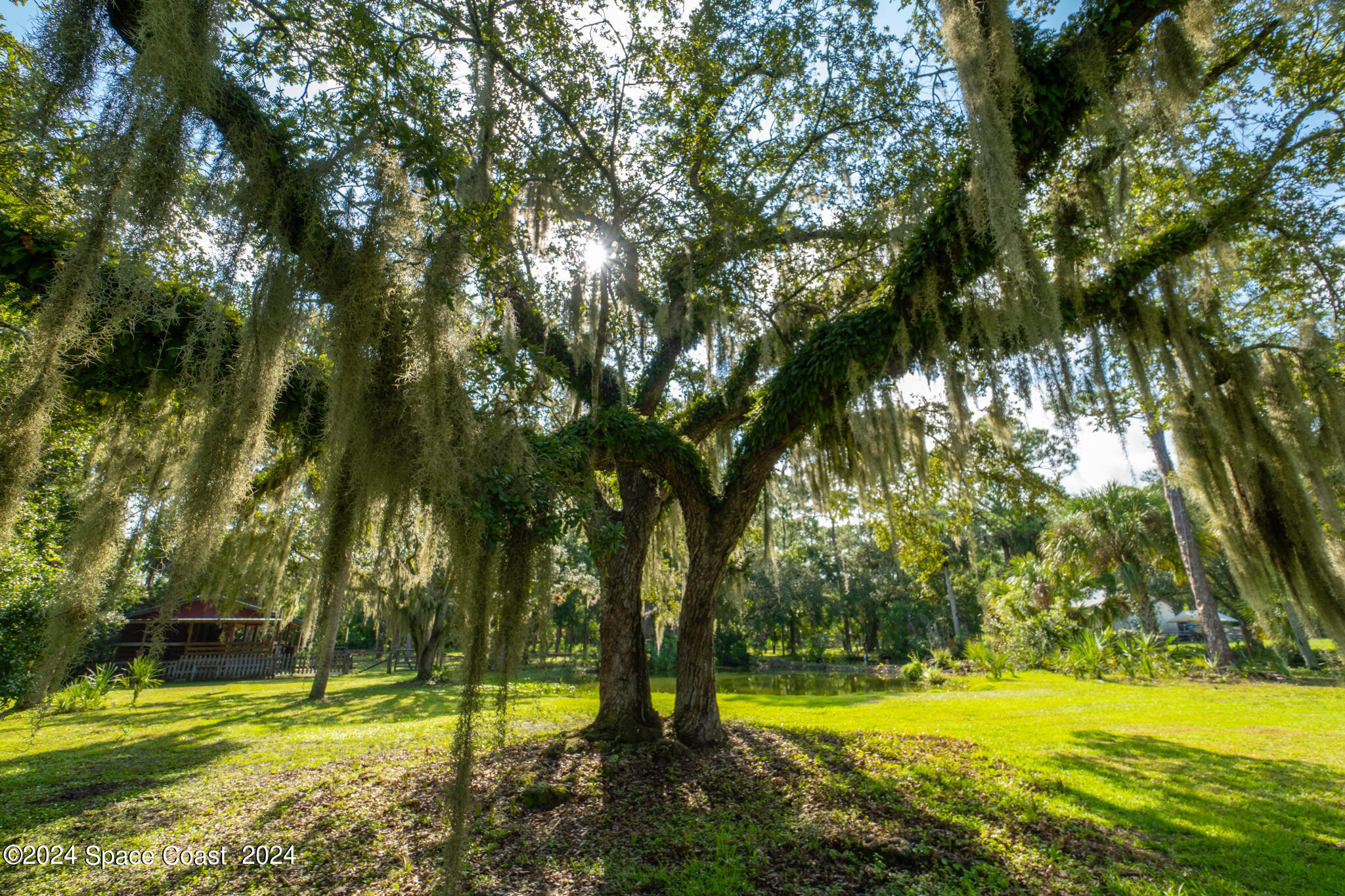 3893 Burton Road Malabar, FL 32950 - Photo 57 of 64 3893 Burton Rd, Grant Valkaria, Fl 32950