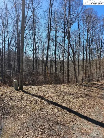 $12,000 | Happy Berry Drive, Grassy Creek, NC 28631