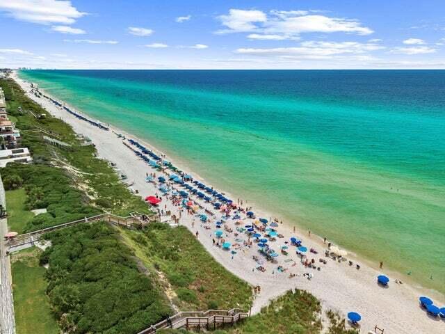 9 East Blue Crab Loop Inlet Beach, FL 32461 - Photo 49 of 53 Seacrest Beach's Newest Luxury Listing