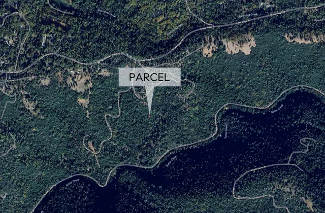 a sign that is sitting in front of a tree