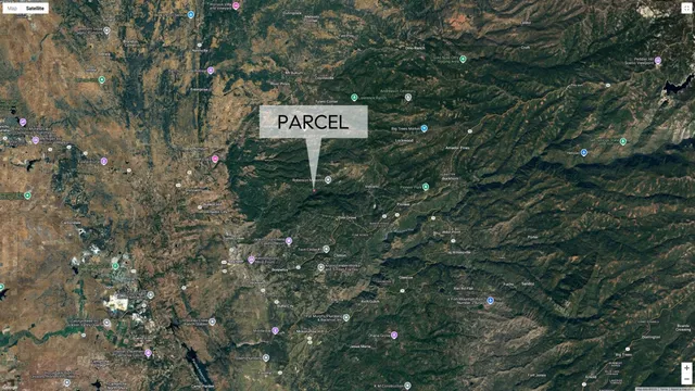 a sign broad in front of the tree