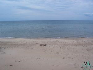 4256 Port Austin Road Caseville, MI 48725 - Photo 3 of 9 769066-2.JPG
