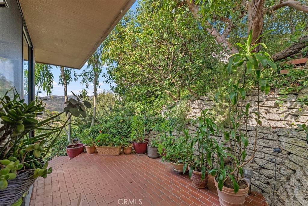 1339 La Mirada Street Laguna Beach, CA 92651 - Photo 9 of 28 a view of a garden with plants and a bench