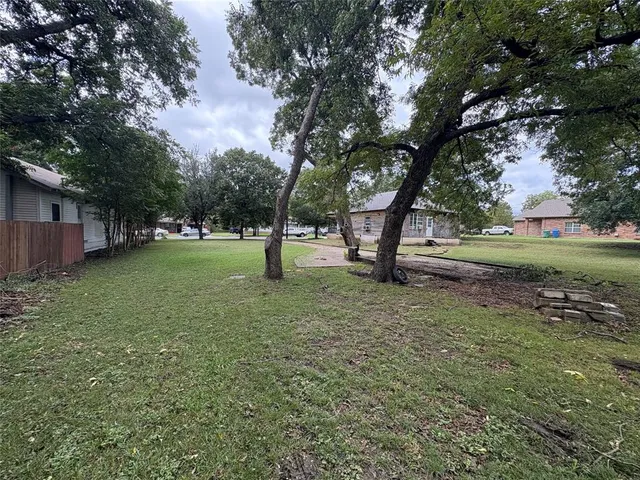 a view of a tree in a yard